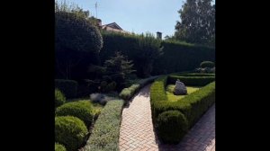 Современное озеленение придомовой территории 🕺🏡