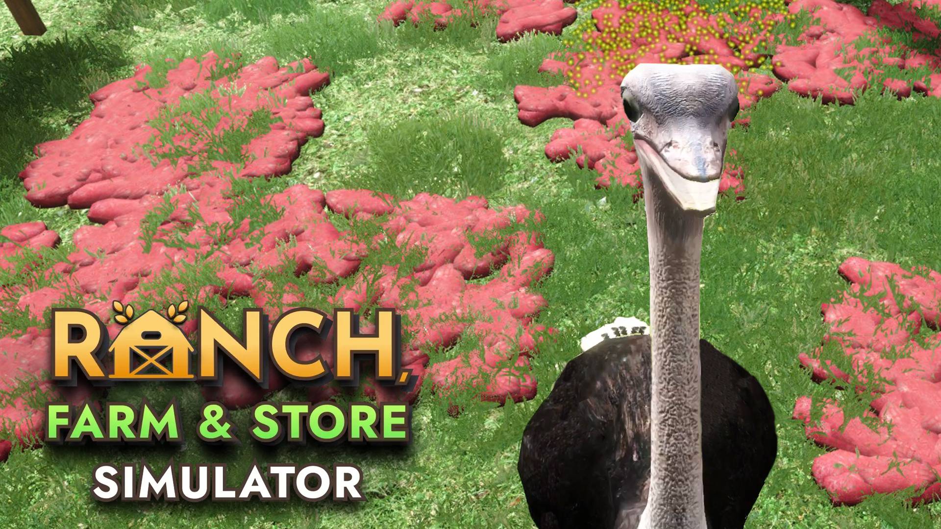 Страусятник - Ranch Farm and Store Simulator Прохождение #11 смотреть онлайн