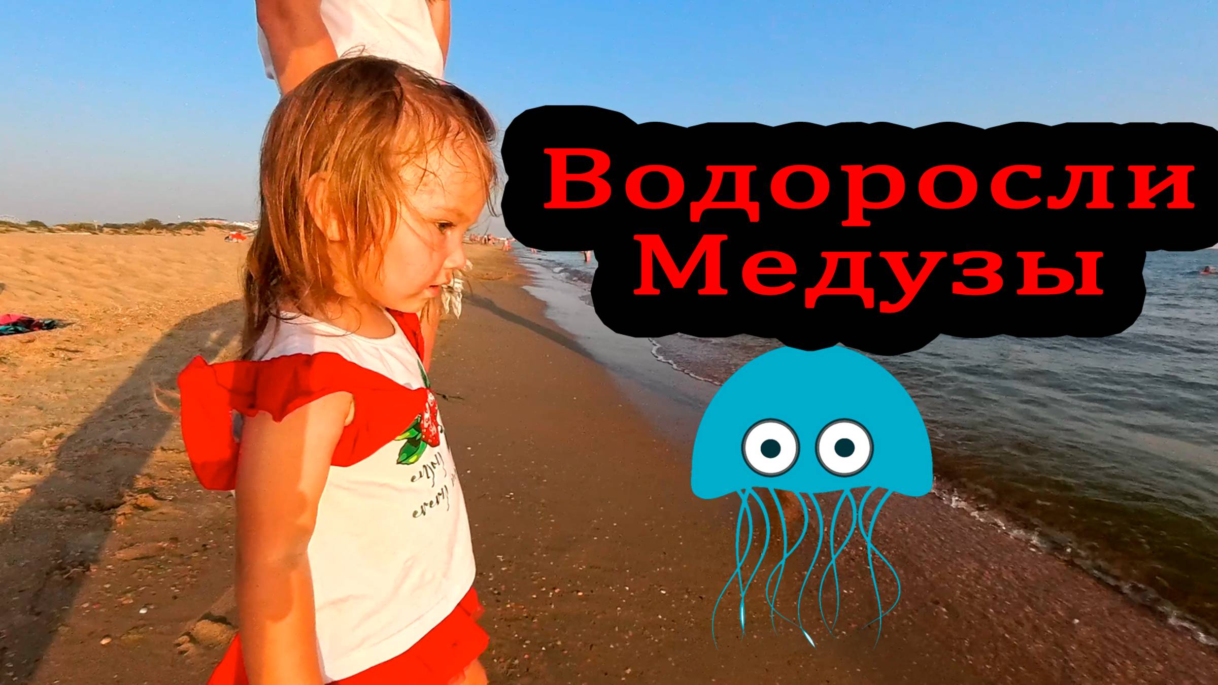 Анапа Витязево 29 июля 2025
Водоросли Медузы смотреть онлайн