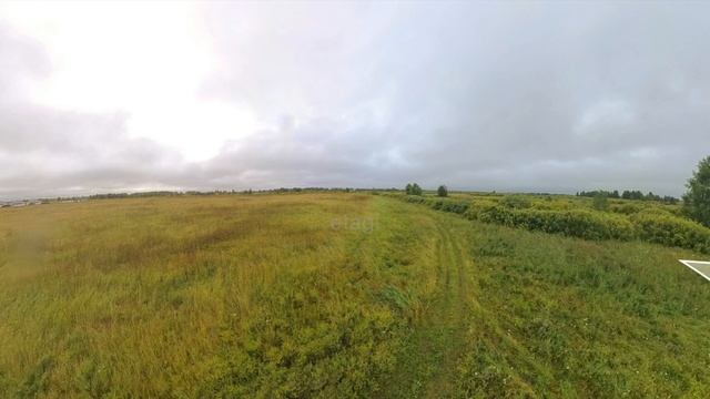 9182989 смотреть онлайн