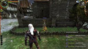 The Witcher Первый (8)