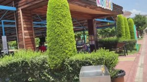 Чем нас кормят в Турции