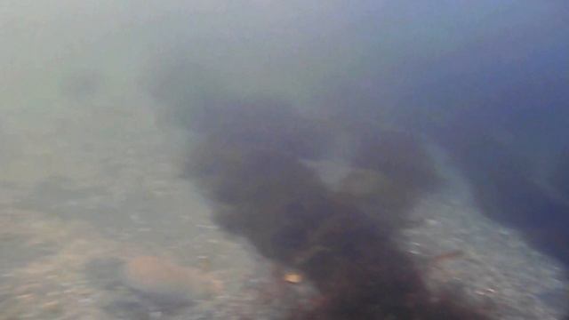 мой первый опыт подводной съемки смотреть онлайн