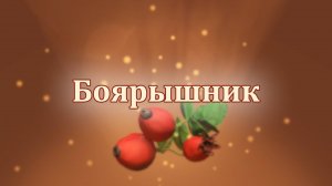 Боярышник — натуральная помощь организму