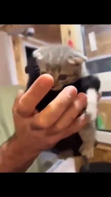 Не разлей вода смотреть онлайн