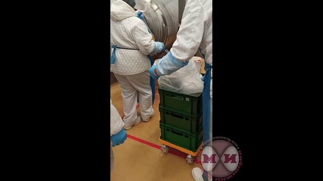 Массажер вакуумный ММ-1000