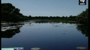 Жди Меня 10.01.2006