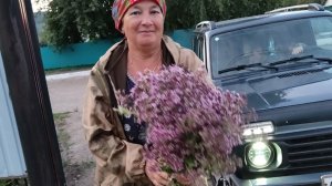 Хроника дня // ЖИЗНЬ в деревне 🏡//