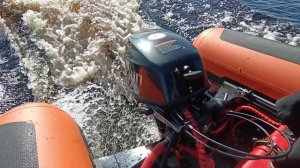 Parsun 9.9-20 efi pro.mp4