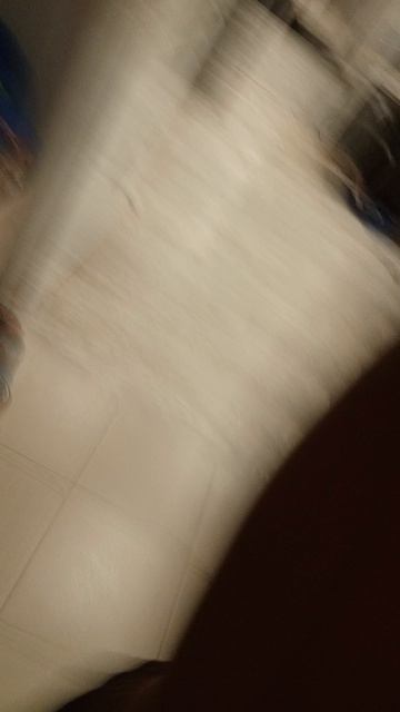 1000182838.mp4 смотреть онлайн