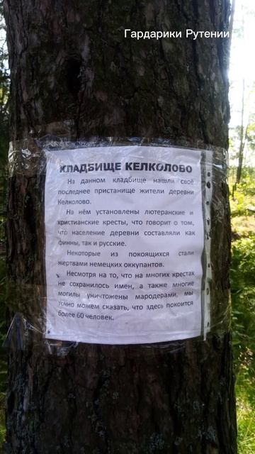 Гора Келколово Ленинградская область смотреть онлайн