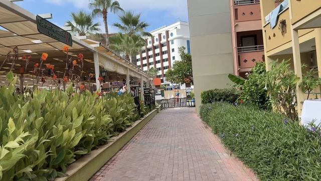 Пошли на РАЗВЕДКУ В ПРЕМИУМ//немного нашей территории смотреть онлайн