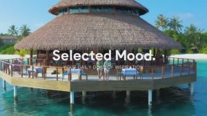 Música SUMMER Alegre para Trabajar en Oficinas, Tiendas, Cafés _ Música summer En Inglés 2025