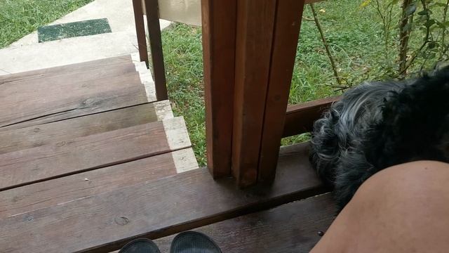 СОЧИ ГОРНОЕ ЛОО ВЕЧЕР 30.07.2025 смотреть онлайн