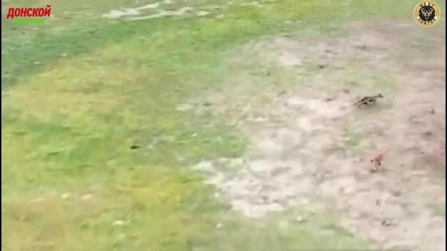 Охота на зайца - Неуловимый заяц смотреть онлайн