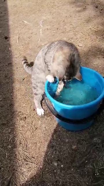 Путь к победе...