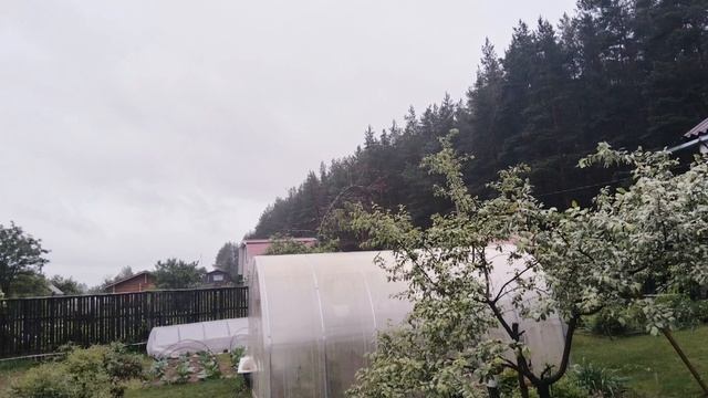 Дождливые выходные 14-15 июня 2025 смотреть онлайн