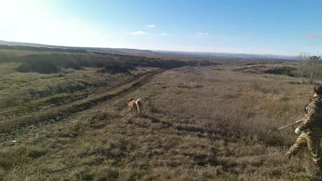 Охота на белого зайца по чернотрорпу смотреть онлайн