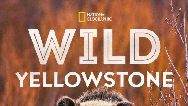 Дикий Йеллоустоун «Волчица» | NAT Geo