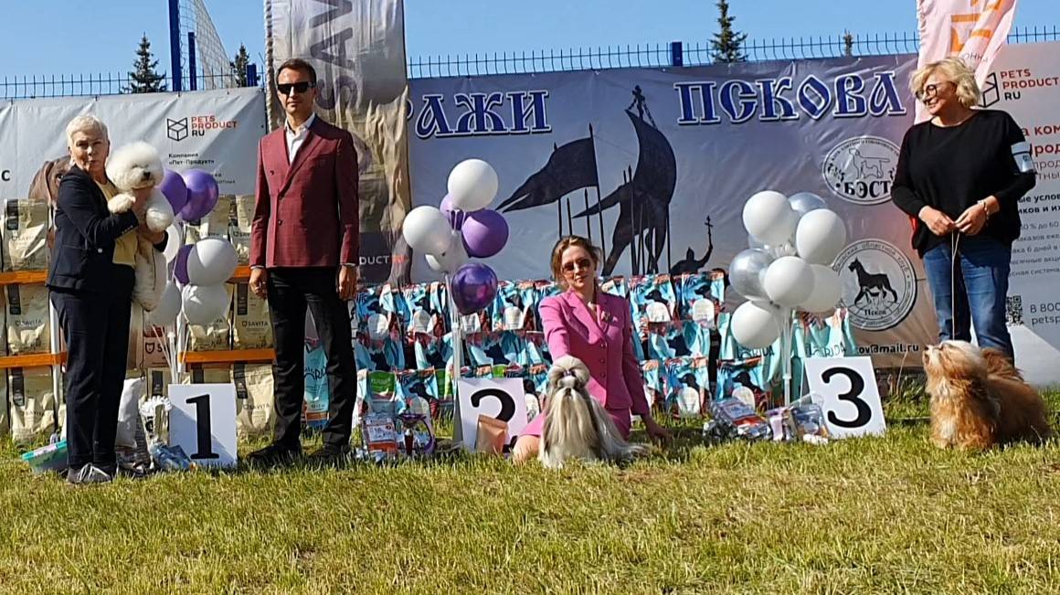 01.06.2025, Псков. Клуб КСиДС (РКФ, РФСС). Выставка собак САС 9 группы FCI смотреть онлайн