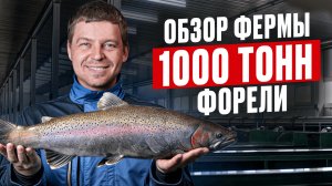 Самая ВКУСНАЯ форель в России! Раскрыли все секреты КРУПНЕЙШЕЙ аквафермы RODOS в Северной Осетии