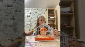 Как ухаживать за хомяком Джунгариком