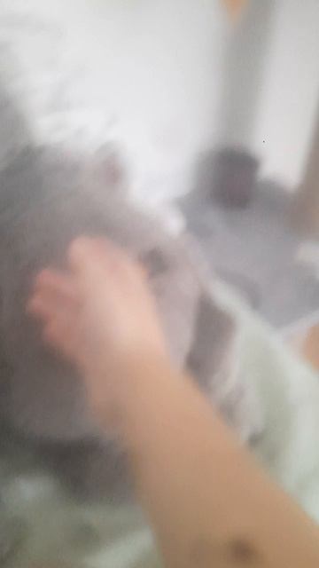 я решила 
беги в описания
или коментарии
!!!!!!!!!!!!!!!!!!!!!!!!!!!!!