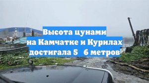 Высота цунами на Камчатке и Курилах достигала 5‑6 метров