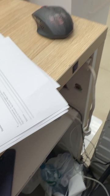 IMG_3672 смотреть онлайн