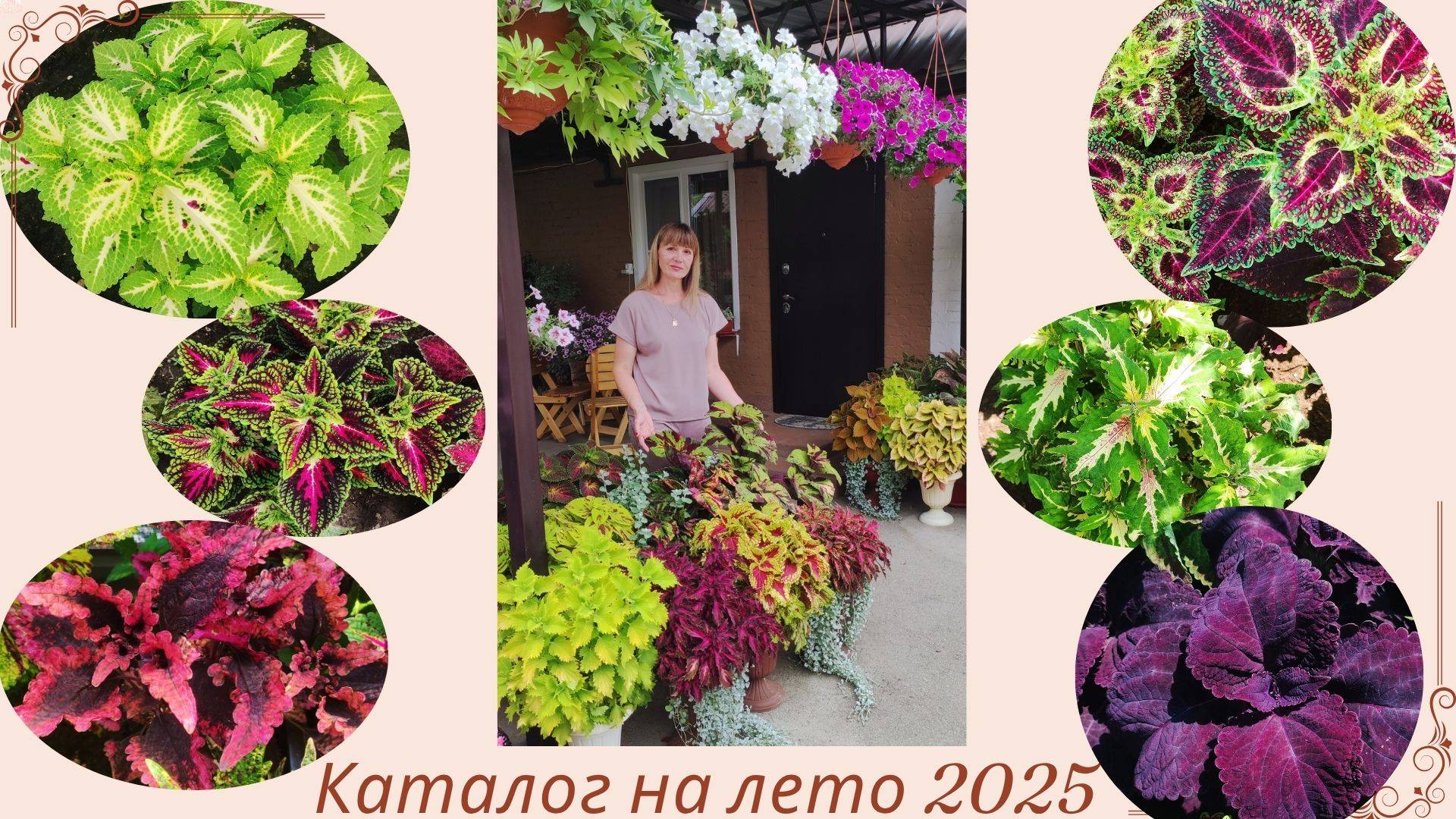 Открываю прием заказов .Продажа сортовых колеусов. Видео каталог на лето. смотреть онлайн