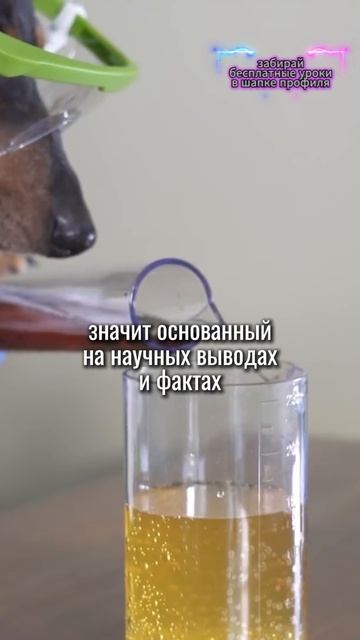 🎁Бесплатные уроки. Жми сюда! смотреть онлайн