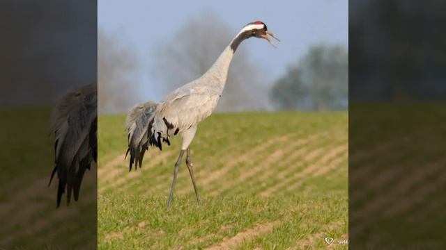 Это интересно-44