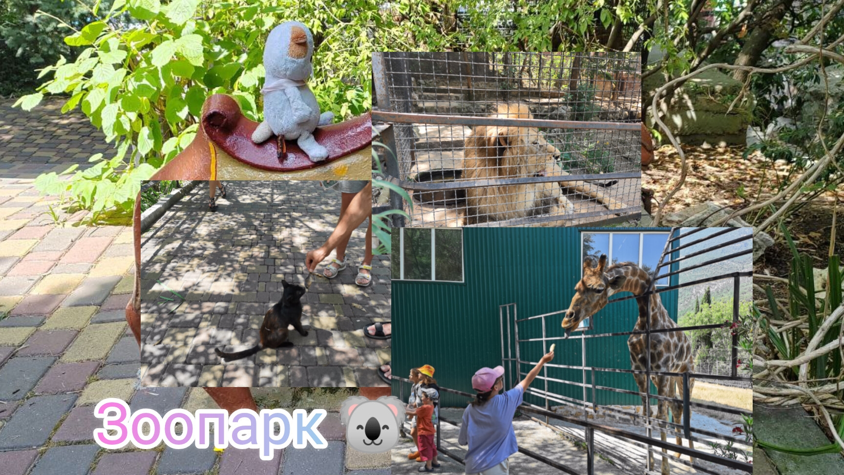 🐙 мы приехали в зооПарк 🐙 смотреть онлайн