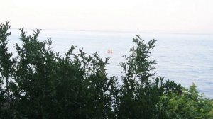 Крым. Отдых 2025. Солнечногорское