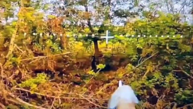 ВСУшка был да сплыл теперь с биндеркой смотреть онлайн