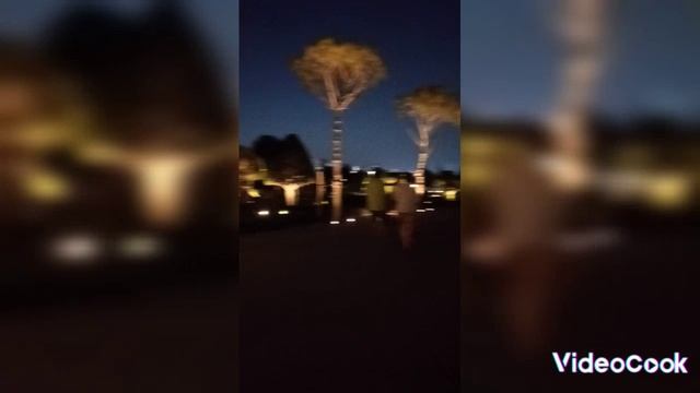 Новые локации Парка 