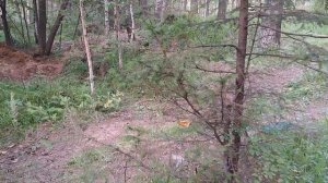 Мини фильм до того как..