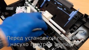 Замена печатающей головки принтера Epson L3100. Инструкция.