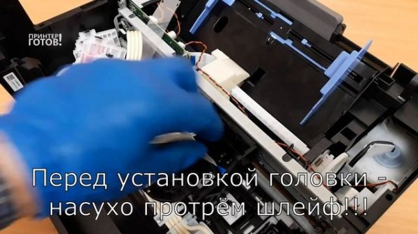 Замена печатающей головки принтера Epson L3100. Инструкция.