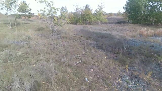 Охота на зайца по чернотропу смотреть онлайн