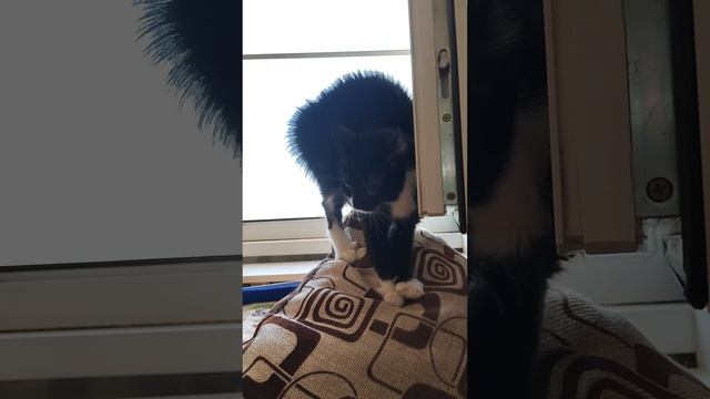 Кто - то сегодня не в настроении, продолжение следует.mp4