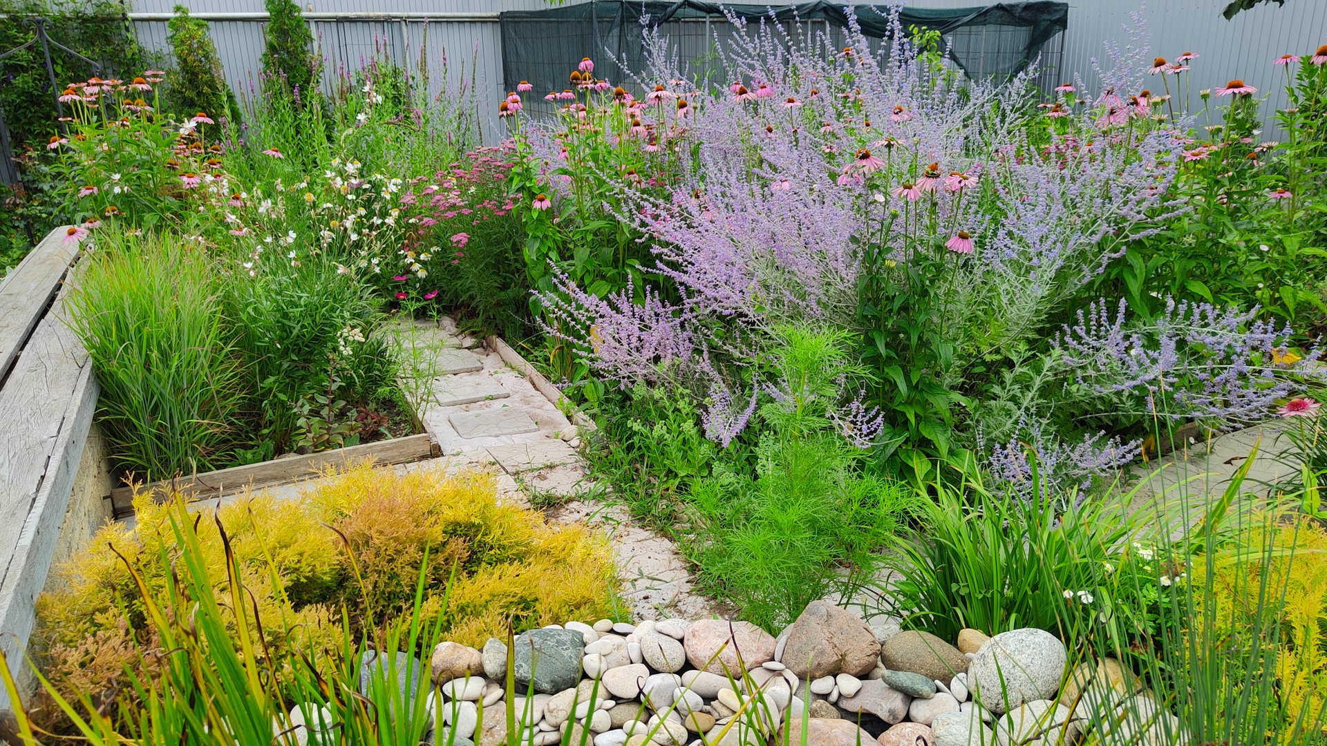 Необычный, природный способ борьбы с муравьями, а значит и с тлёй. Прогулка по южному саду 28.07.25 смотреть онлайн