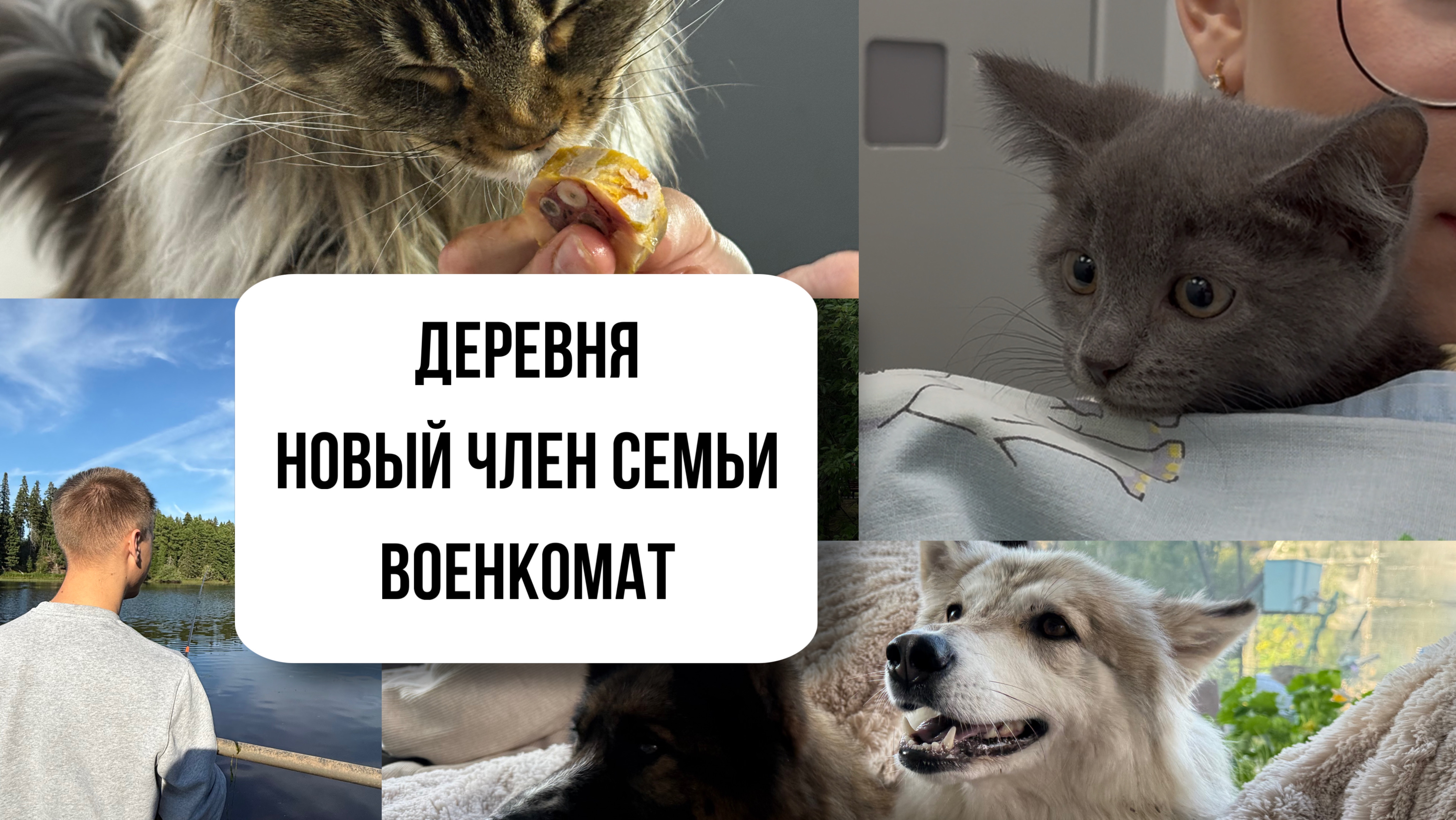 ВЗЯЛИ КОТЁНКА | РЫБАЛКА В ДЕРЕВНЕ | ОТПУСК В НЯГАНИ Александра Фрайман LifeVlog