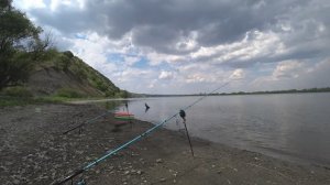 Бешеный клёв🔥 Отдых с семьёй на Дону.