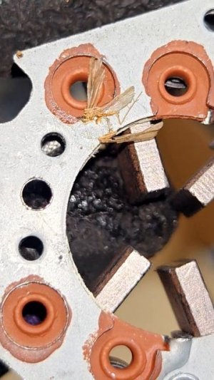 Обслуживайте новые стартера после покупки