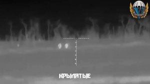 Двух хохлов одним выстрелом