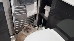 ДИЗАЙН МАЛЕНЬКОГО ПРОСТРАНСТВА. ЧТО ПОЛУЧИЛОСЬ.