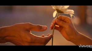 Драко и Гермиона - Для тебя