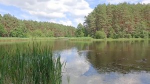 Любимое Старое озеро и стелла, посвященная Уральскому Добровольческому корпусу (2-Мировая Война).