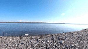 Рыбалка на сига, ловля на закидушки в конце июля.